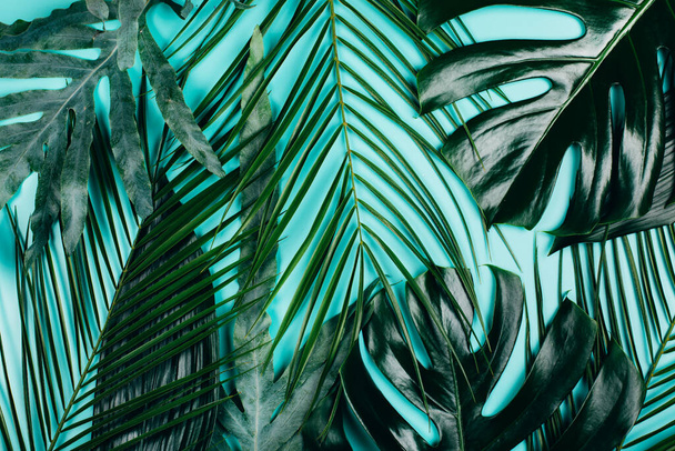 Mix of tropical green fresh leaves on turquoise background. Summer exotic pattern. - Fotografie, Obrázek