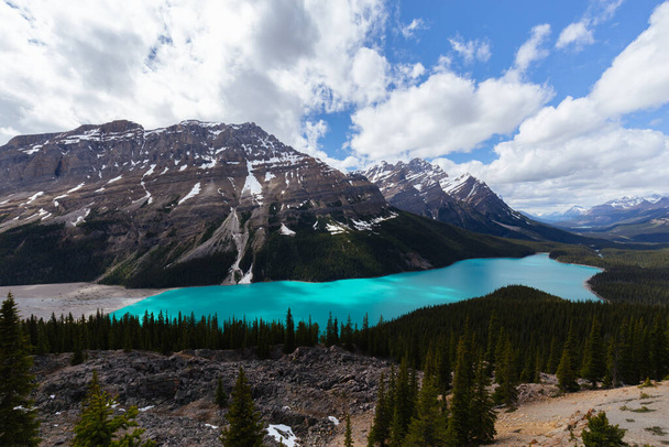 Peyto Lake in Alberta, Canada. Surounded by mountains and glaciers - Photo, Image