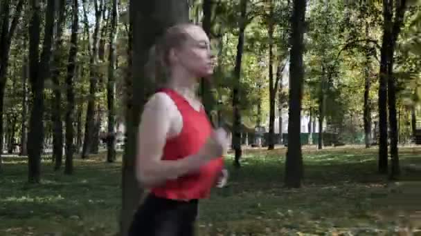 kaukázusi fitness lány futó sportruházat futó őszi park napsütéses napon - Felvétel, videó