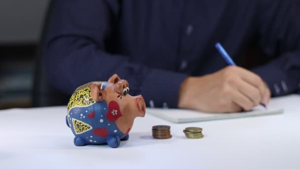 accountant calculates how much money is saved for a given period and saves the saved money in a piggy bank and records it in the register of income and expenses. Video shot Full HD 60 fps. - Footage, Video