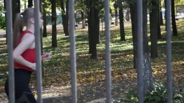 καυκάσιος δρομέας κορίτσι γυμναστικής σε αθλητικά που τρέχει στο πάρκο το φθινόπωρο την ηλιόλουστη μέρα - Πλάνα, βίντεο