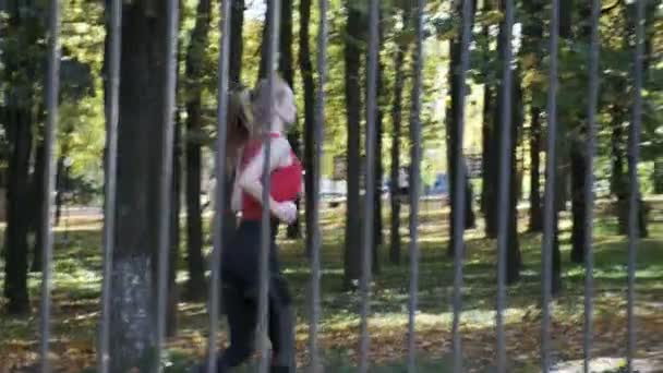 kaukaski fitness dziewczyna biegacz w sportowy odzież działa w jesienny park w słoneczny dzień - Materiał filmowy, wideo