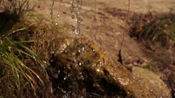 virtaava kirkas vesi, hyvää aurinkoista päivää - Materiaali, video
