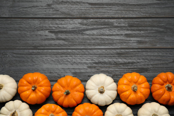 Different ripe pumpkins on black wooden table, flat lay. Space for text - Foto, Imagen