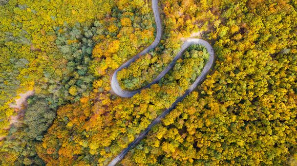 Aerial view of forest road in beautiful autumn at sunset. - Photo, Image