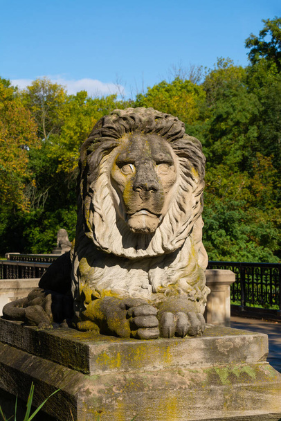 Vecchia statua di leone in una bella giornata d'autunno. Milwaukee, Wisconsin, Stati Uniti - Foto, immagini