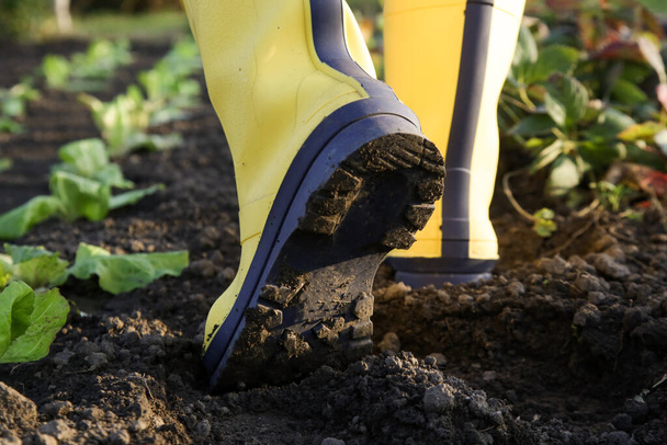 Zavřít obrázek žluté gumové boty procházky v zahradě - Fotografie, Obrázek