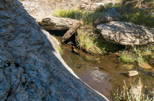 Vesi virtaa pitkin rotkoa Sierra Nevadassa, siellä on kristallinkirkas vesi, se on kivinen alue, kalliolla on ruohoa ja sammalta - Valokuva, kuva