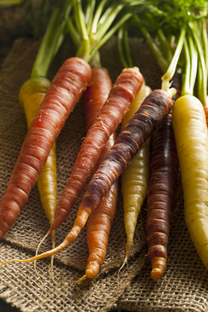 Colorful Multi Colored Raw Carrots - Fotoğraf, Görsel