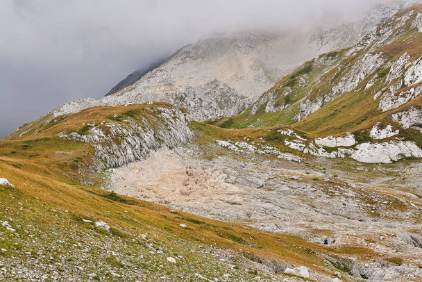 Alppien ruohoinen maisema, joka on osittain pilvien peitossa ja jonka kivikentät korvaavat sulatetut jäätiköt - Valokuva, kuva