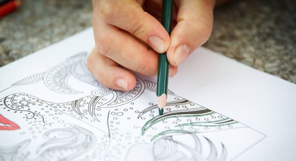 Meisje versiert een zwart-wit patroon op papier met een gekleurd potlood - Foto, afbeelding