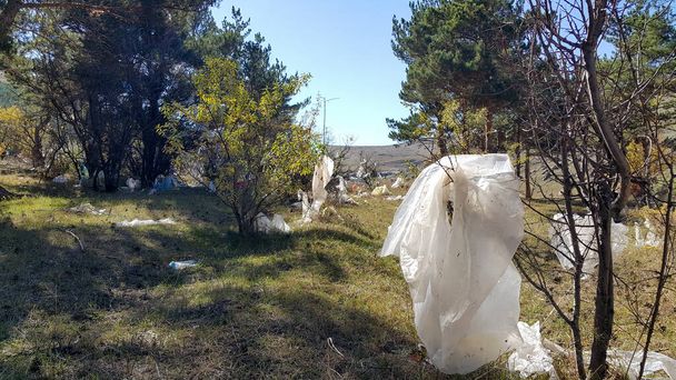 Les sacs en plastique dans la forêt sur les arbres se déplacent dans le vent. Il y a beaucoup d'ordures dans la nature. Questions sociales liées à la protection de l'environnement. La décharge. Pollution de la nature. - Photo, image