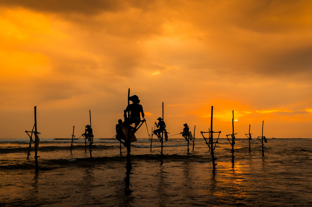 Silhouettes of the traditional fishermen at the sunset in Sri Lanka - Photo, Image