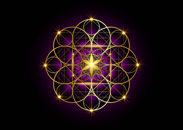 Seed of life symbol Sacred Geometry.  Geometric mystic mandala of alchemy esoteric Flower of Life. Gold luxury design, vector divine meditative amulet isolated on black and purple background - Vector, Image