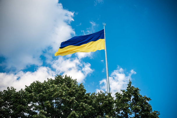 Bandiera ucraina nel vento. Sullo sfondo del cielo. - Foto, immagini