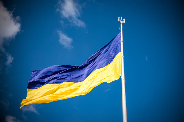 Ukrainian flag in the wind. Against the background of the sky. - Photo, Image