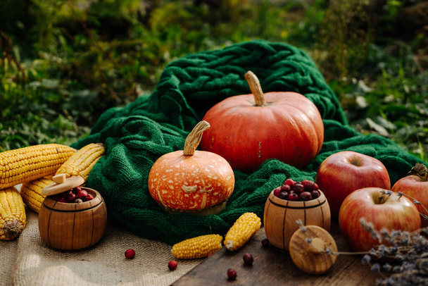 Sonbahar hasadı, mısır, elma, lavanta, yeşil örülmüş büyük turuncu balkabağı. - Fotoğraf, Görsel