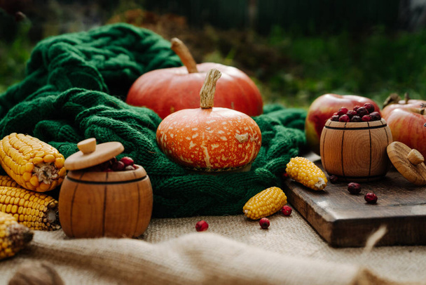 raccolto autunnale, mais, mele, lavanda, grande zucca arancione su una sciarpa a maglia verde 1 - Foto, immagini