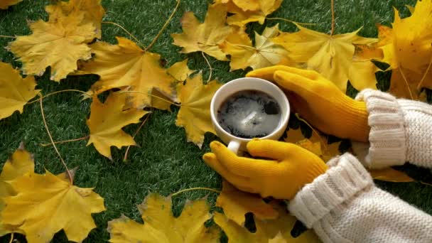 vrouw handen houden een kopje koffie naast gele esdoorn bladeren op een groen gras - Video
