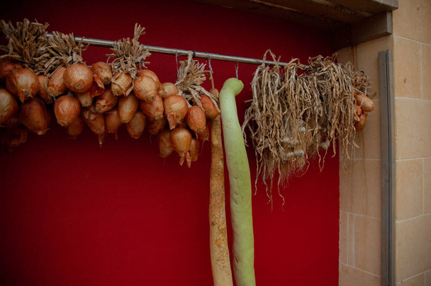 Onions and other vegetables hanging. Red background - Photo, image