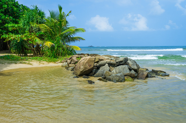 tropisch strand in sri lanka - Foto, afbeelding