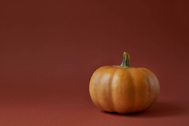 Pumpkin on a terracottas paper background. Creative minimal concept  - Foto, imagen