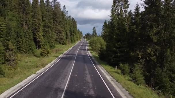 Aerial low air flight over mountain perfect asphalt highway road and meadow at sunny summer morning. Near green trees. Fast horizontal movement with sun rays. - Footage, Video