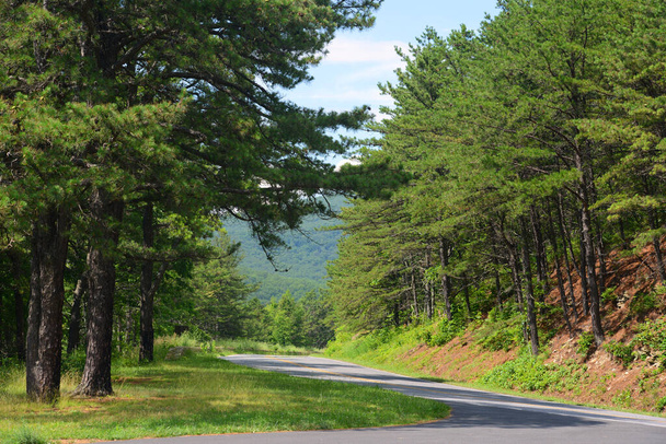 Skyline Drive Virginiassa, Yhdysvalloissa. Shenandoahin kansallispuisto on osa Blue Ridge vuoristoa Virginiassa. - Valokuva, kuva