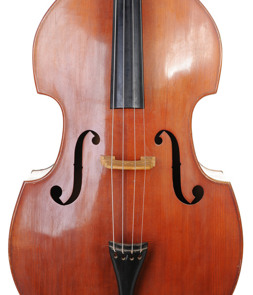 Classical contrabass. - Photo, Image