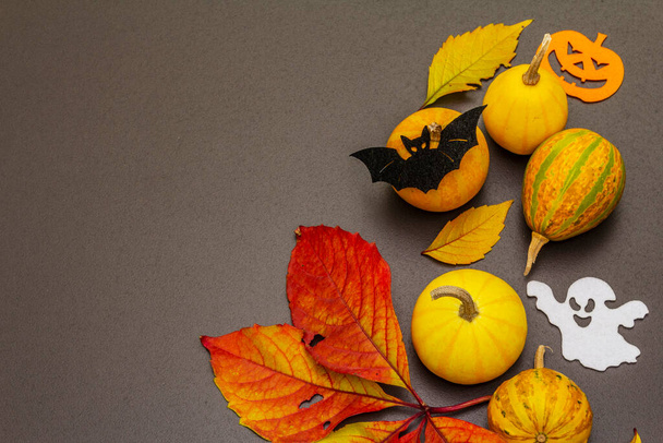 Traditional symbols of Halloween - ripe pumpkins, bat and ghost. Fall colorful leaves, festive good mood. Autumn black stone concrete background, top view - Foto, Imagem