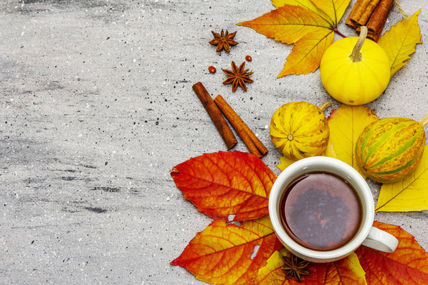 Hot tea with fall foliage, pumpkins, cinnamon sticks and star anise. Colorful autumn leaves for happiness mood. Grey stone table, top view - Photo, image