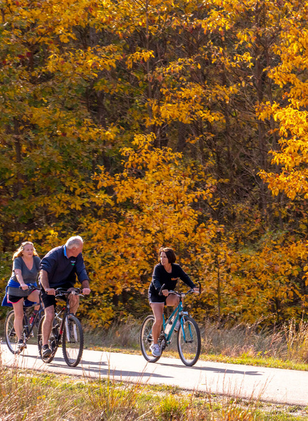 South Haven MI USA říjen 10 2020; rodinná jízda na kole na dlážděné cyklostezce během barevného podzimu v Michiganu USA - Fotografie, Obrázek