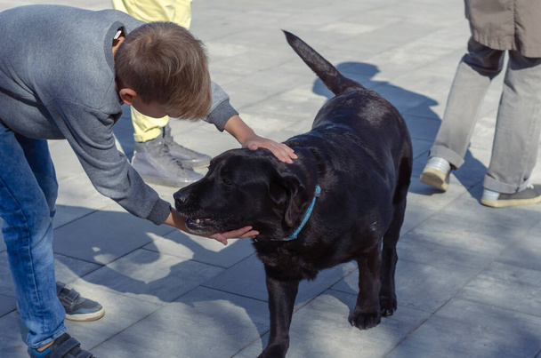 Il bambino accarezza il labrador nero di 11 anni fuori. Il ragazzo si china sull'animale domestico e lo accarezza durante la passeggiata. Amore per gli animali - Foto, immagini
