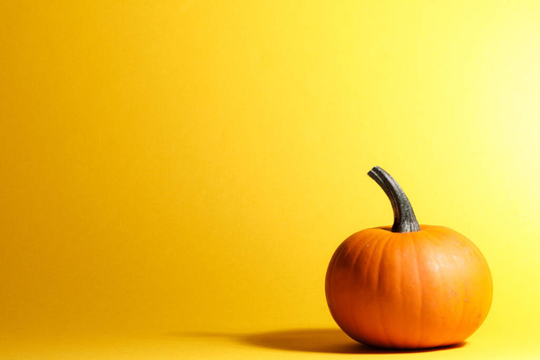 Holiday halloween background with pumpkin on yellow, copy space for text - Фото, зображення
