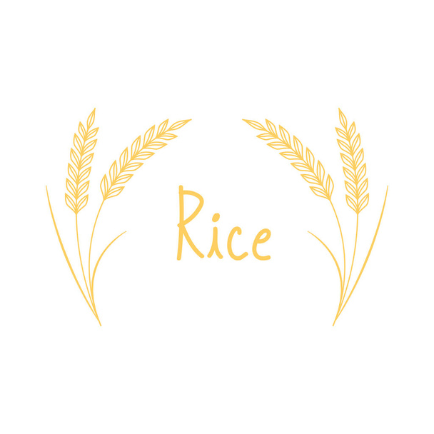 Rice poster design. Wheat doodle symbol. - Διάνυσμα, εικόνα