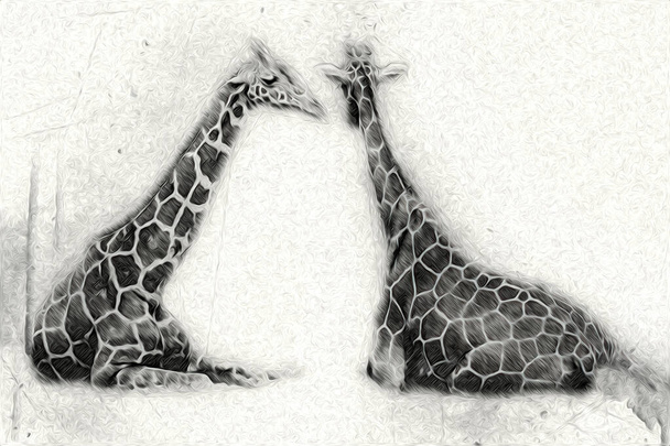 Drawing art drawing illustration of giraffe - Photo, Image