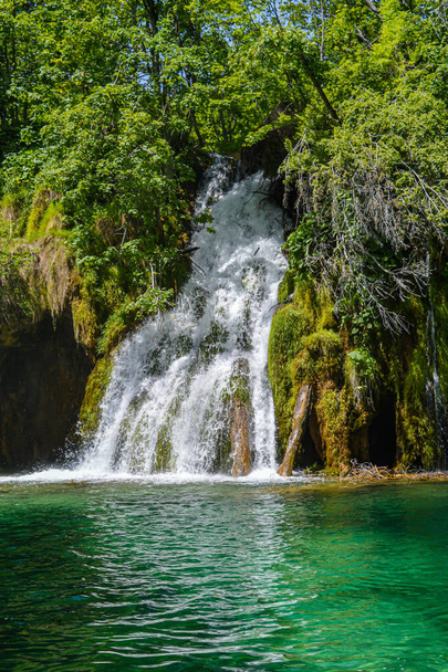 Lakes and waterfalls in Plitvice Lakes National Park, Croatia - Foto, Imagem