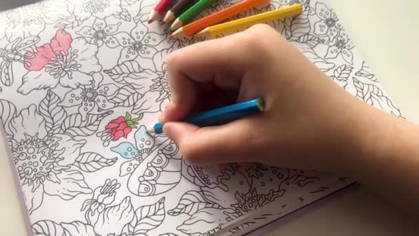Algunos mano joven está pintando patrones de libro para colorear anti-estrés con lápiz azul, y lápices de colores están junto a ellos. Arte zen, dibujos de garabatos en blanco y negro. Enredo zen, libros para colorear   - Metraje, vídeo