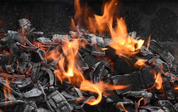 Yanan odun ateşi ve kor - Fotoğraf, Görsel