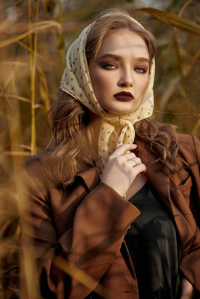 Portrait of a beautiful fashion woman in a thicket of autumn grass - Photo, Image