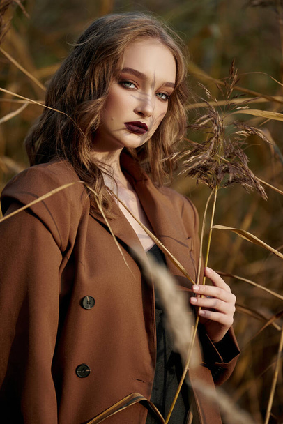 Portrait of a beautiful fashion woman in a thicket of autumn grass - 写真・画像