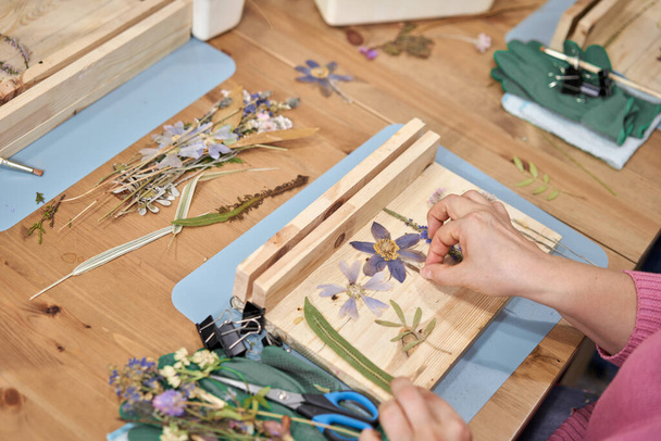 A woman lays out a composition. Master class on creating frame with Herbarium in tiffany technique in stained glass. Herbarium of dried different plants and flowers placed under a glass - Foto, Bild