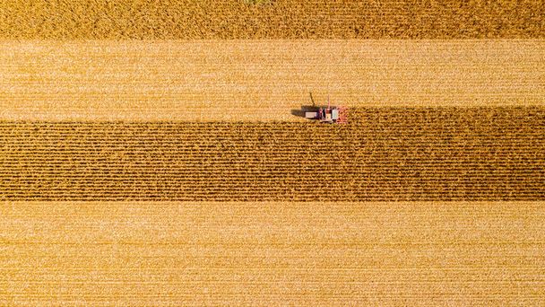 Luftaufnahme eines landwirtschaftlichen Mähdreschers beim Schneiden und Ernten von reifem Mais auf landwirtschaftlichen Feldern. - Foto, Bild