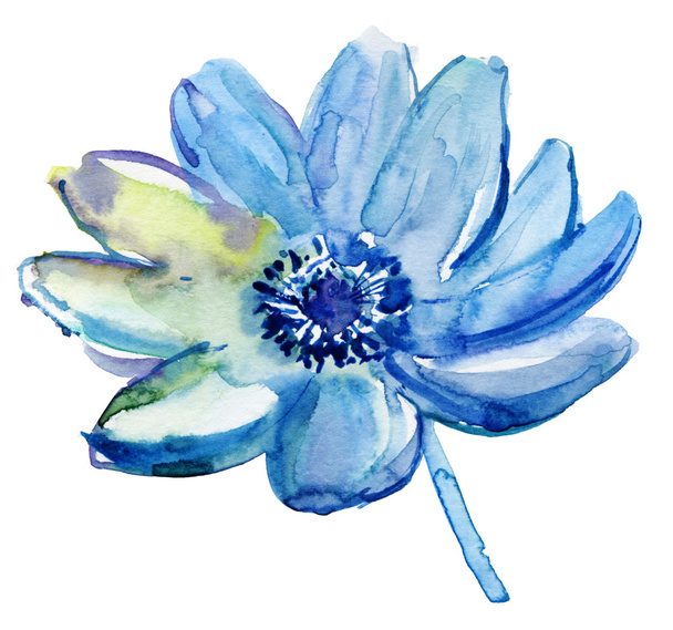 青い花 - 写真・画像