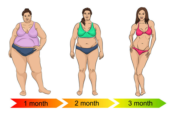 Evolutie van het vrouwelijke lichaam van vet naar dun als gevolg van dieet of lichaamsbeweging - Vector, afbeelding