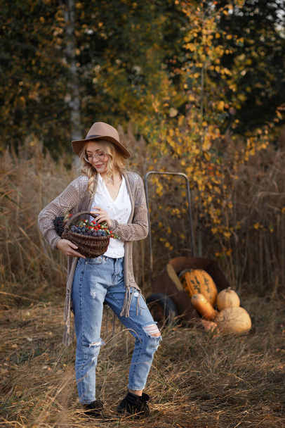 modèle dans un chapeau avec des citrouilles et un panier en automne - Photo, image