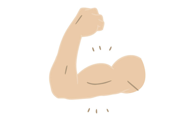 Materiál částí těla: muž, horní část paže, biceps - Vektor, obrázek