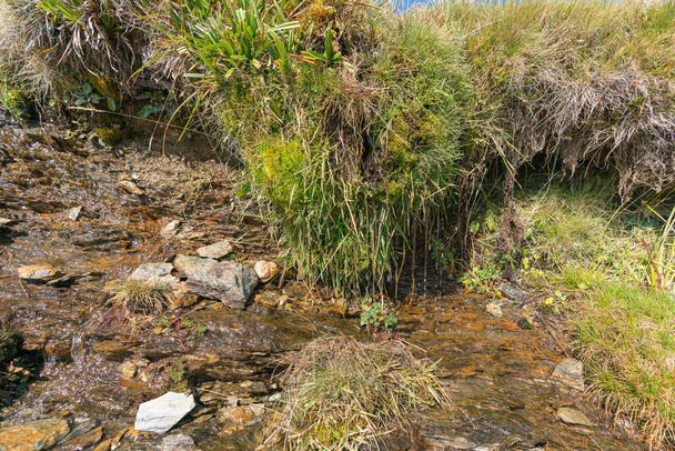 Sierra Nevada 'da bir dağın yamacında su kaynağı var, bitki örtüsü var, taşlar var. - Fotoğraf, Görsel