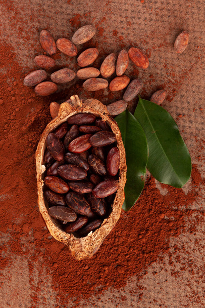 Kakaobohnen in Hülse, Schokoladenpulver und Blätter auf dem Tisch, flach gelegt. Köstliche dunkle Schokolade Hintergrund. Natürliches Superfood. - Foto, Bild