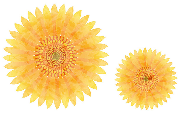 Illustration of a large sunflower - Vector, Image